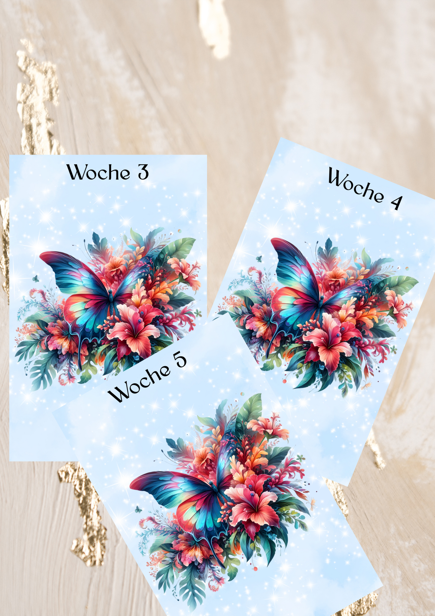 Wochenbudget Schmetterling